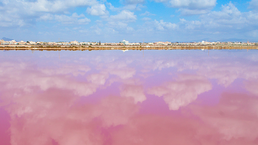 Salinas de San Pedro del Pinatar